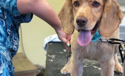 Bark N Bubbles 39 Wedgewood Dr, Jewett City Connecticut 06351