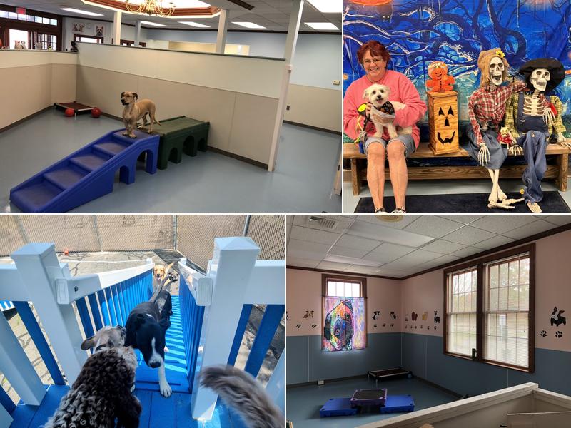 Scooters Bark & Bubbles