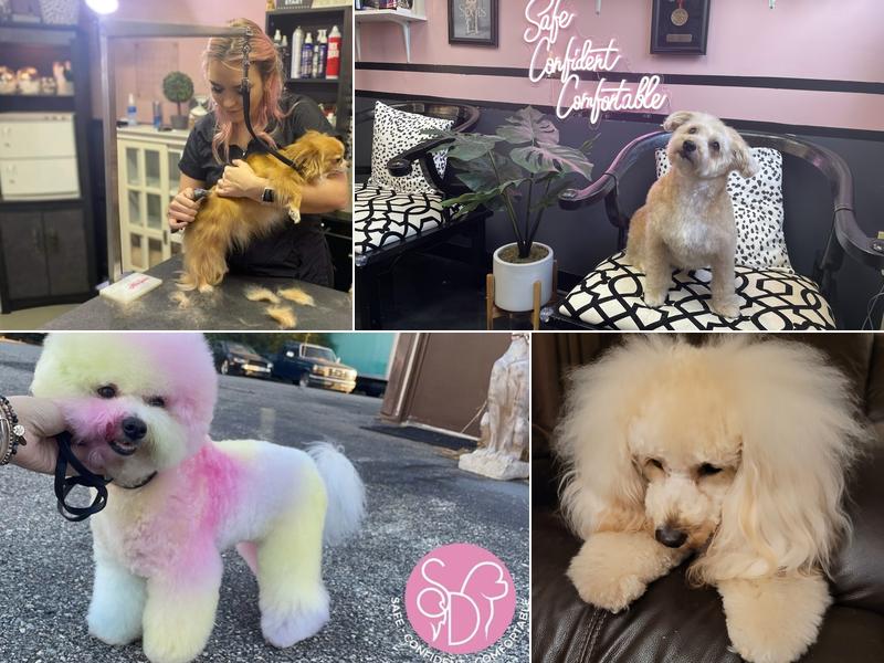 Plush by Sarah Drouin