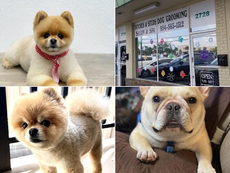 Bitches And Studs Grooming & A Glamour Bow