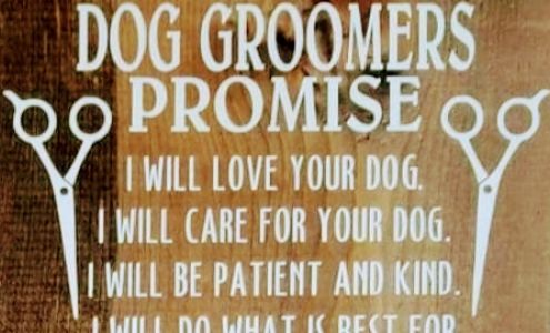 Puppy Purrs Dog Grooming