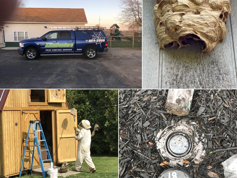 Eliminators Pest Control