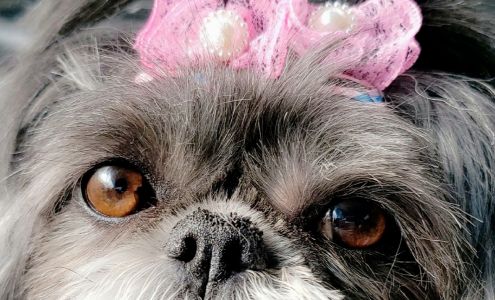 Loving Touch Pet Salon, Inc