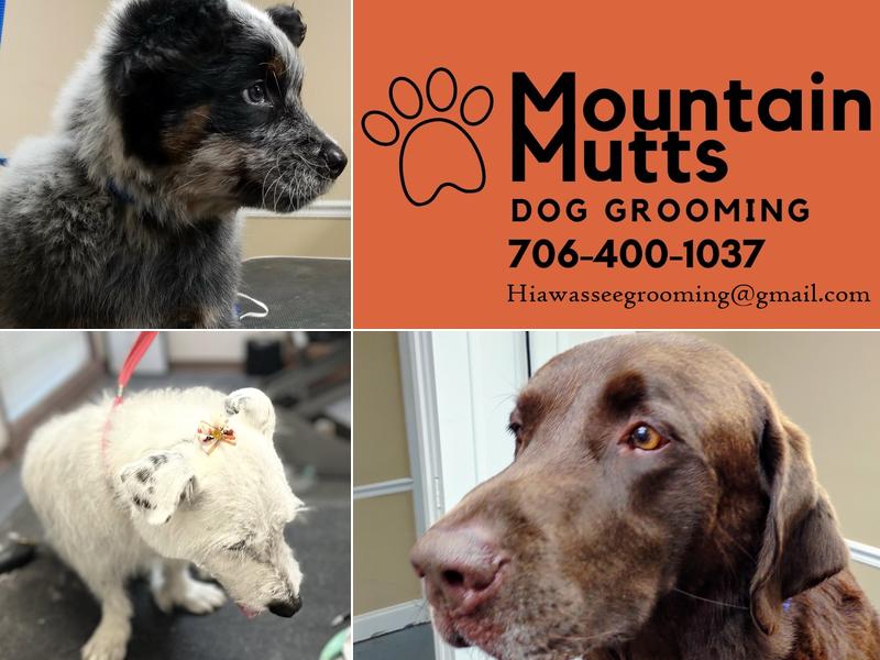 Mountain Mutts Dog Grooming
