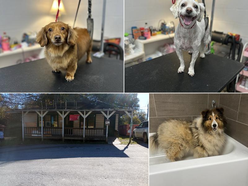 Paws and Claws Salon