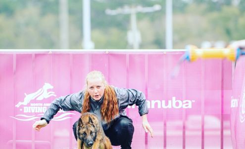 The Pack Canine Studio