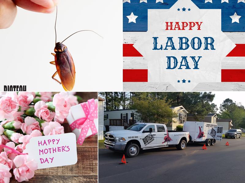 Biotech Pest Management