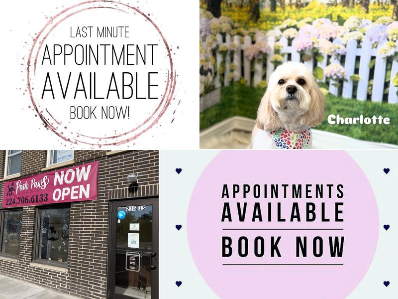 Posh Paws of Lake Bluff