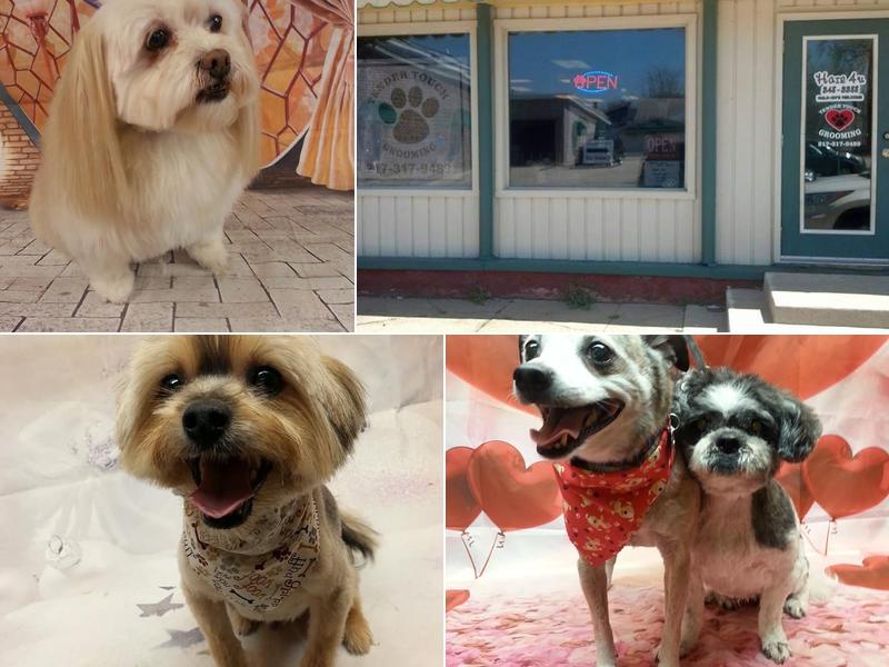 Tender Touch Grooming