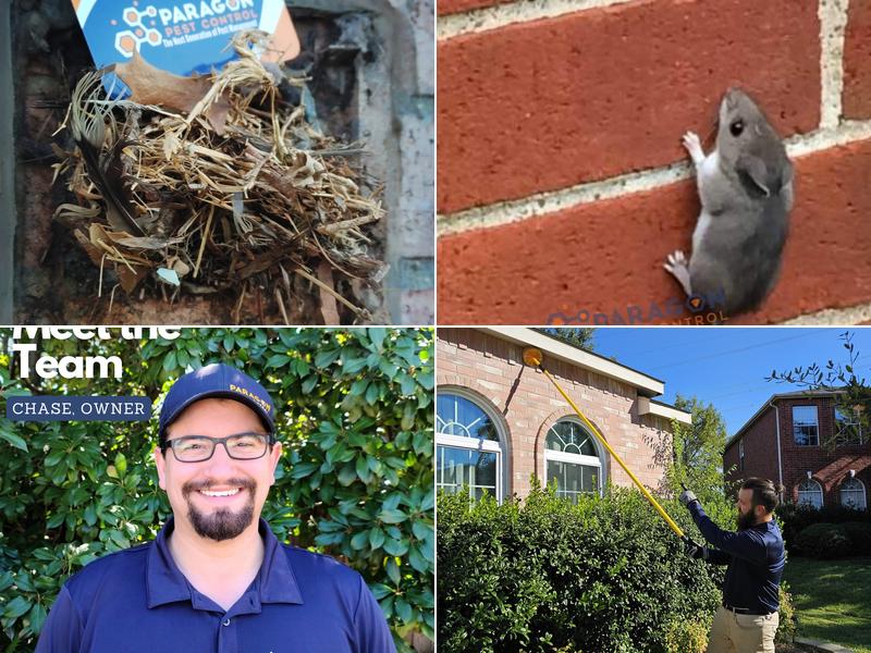 Paragon Pest Control