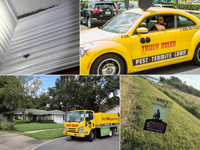Truly Nolen Pest & Termite Control