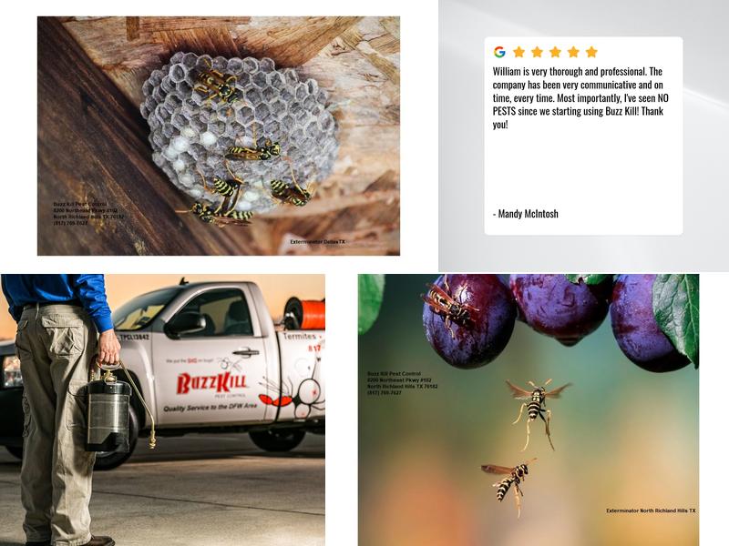 Buzz Kill Pest Control