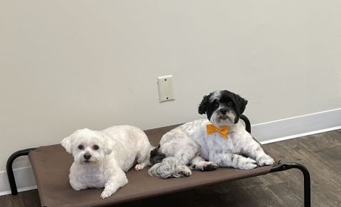 The Bone Yard Pet Shop 3828 W 3rd St, Bloomington Indiana 47404