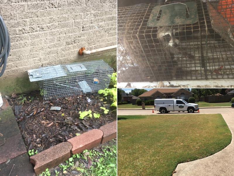 Hurd Pest Control LLC.