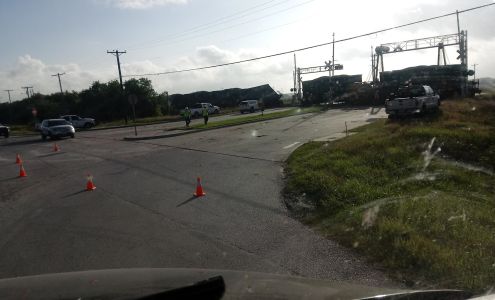 G & M Pest & Termite Control