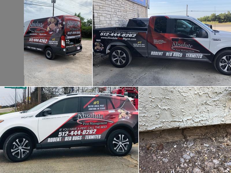 Absolute Pest Management