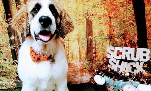 Scrub shack 211 Wayne St, Columbia Tennessee 38401