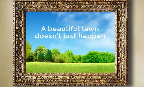 Evergreen Lawn Care