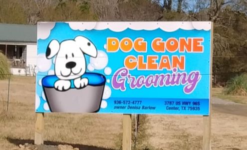 Dog Gone Clean 3787 US Highway 96 South, Center Texas 75935