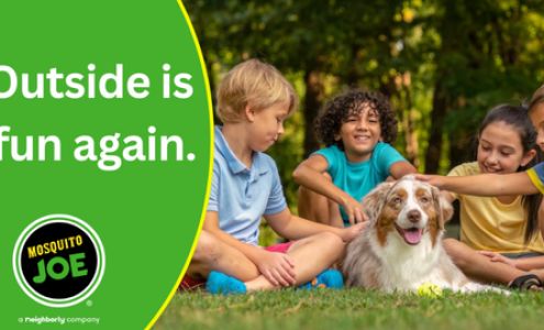 Mosquito Joe of Abilene