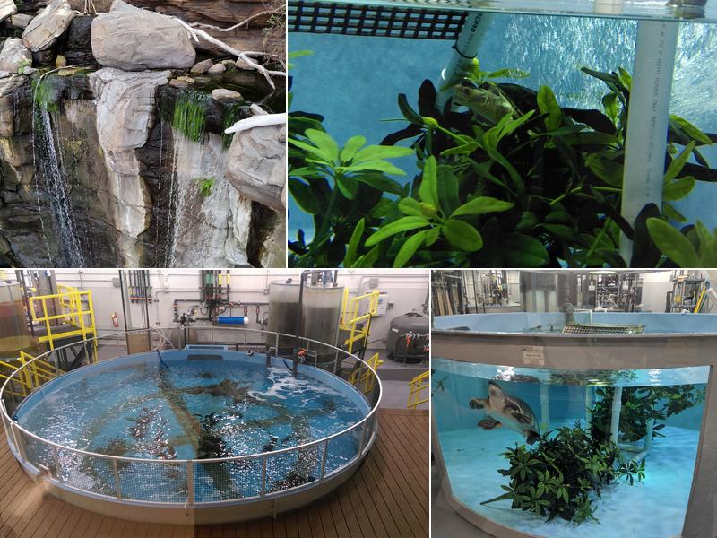National Aquarium Animal Care and Rescue Center