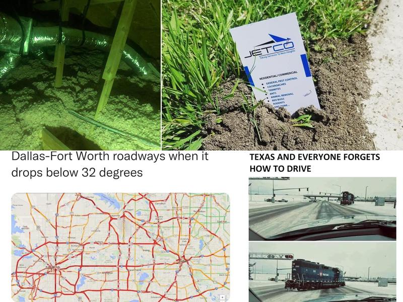 JetCo Pest & Bed Bug Services