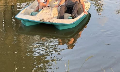 Groomingdales 129 Lansing Rd, Potterville Michigan 48876