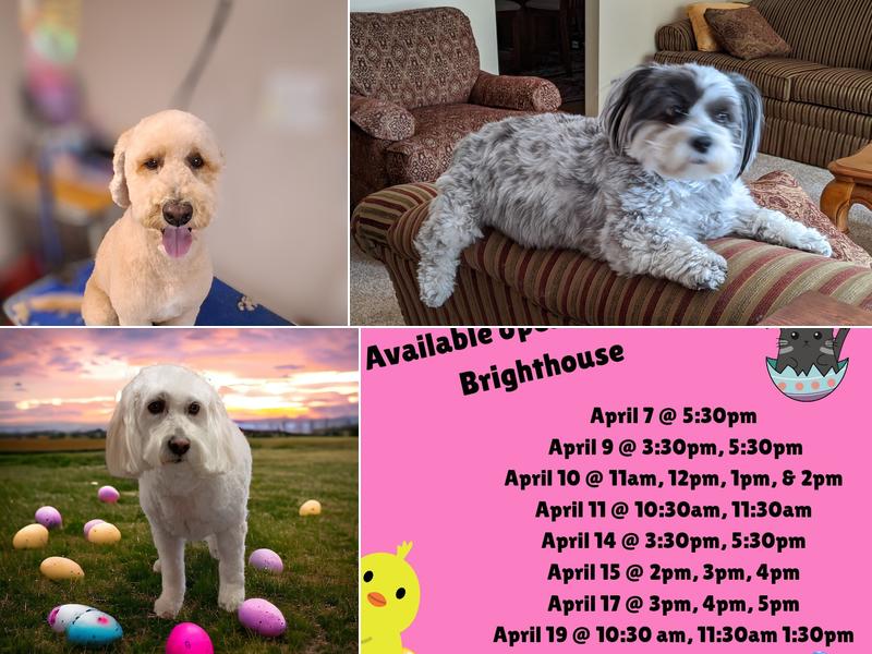 Brighthouse Grooming LLC