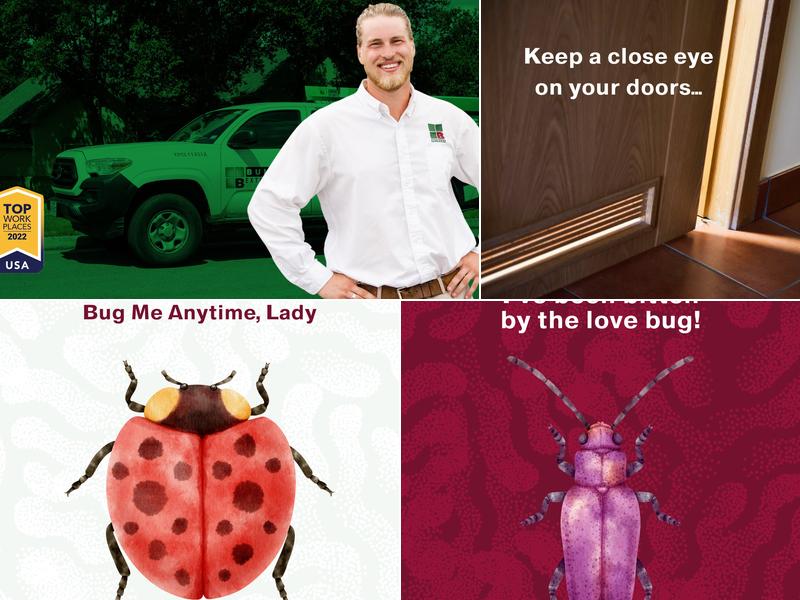 Bulwark Exterminating in Salt Lake