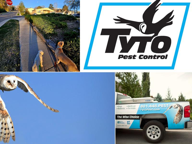 Tyto Pest Control