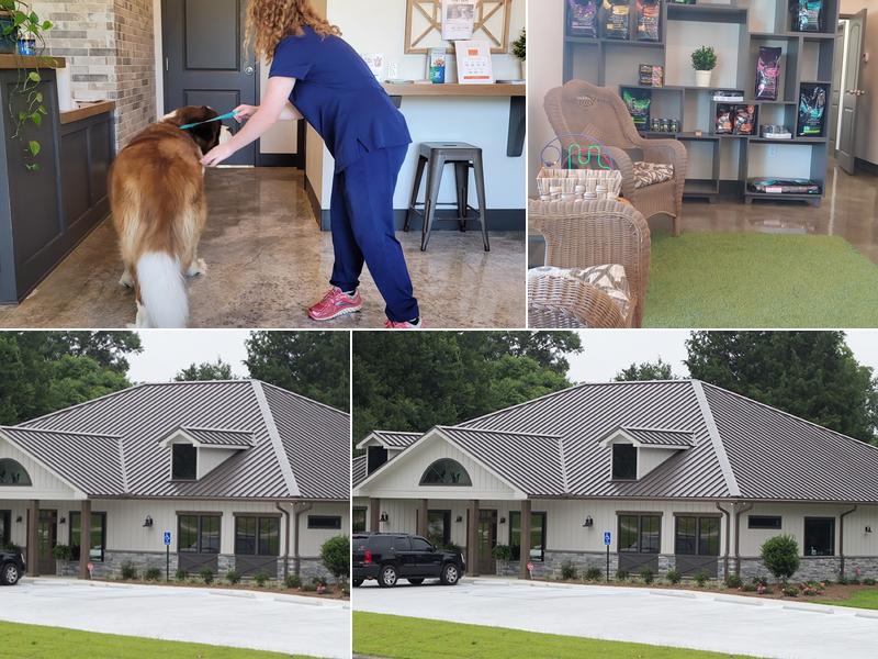 The Pet Hospitals (Parkway)