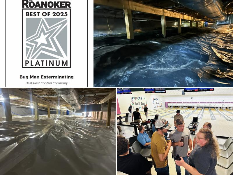 Bug Man Exterminating