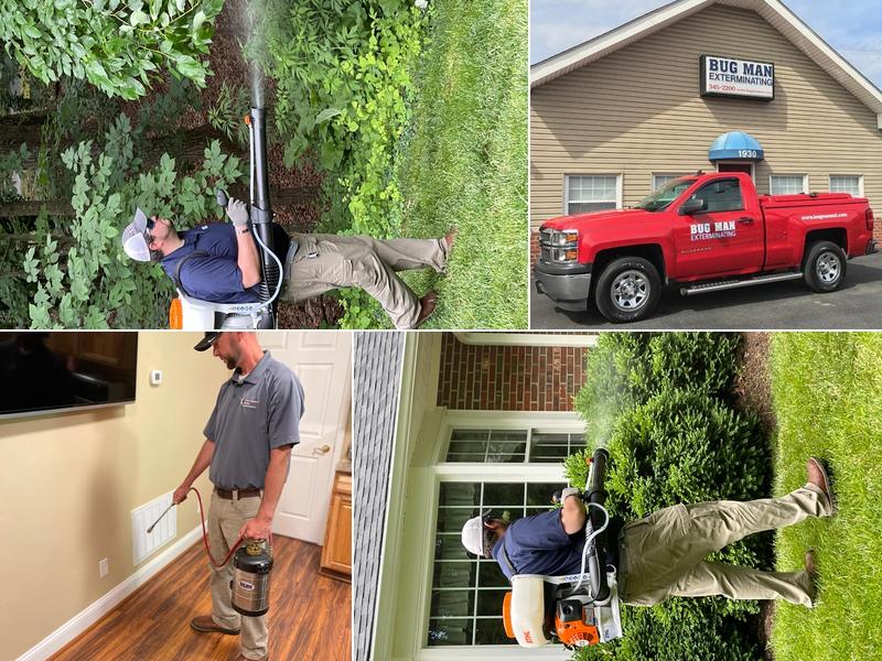 Bug Man Exterminating