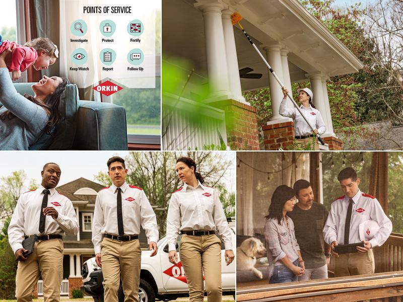 Orkin