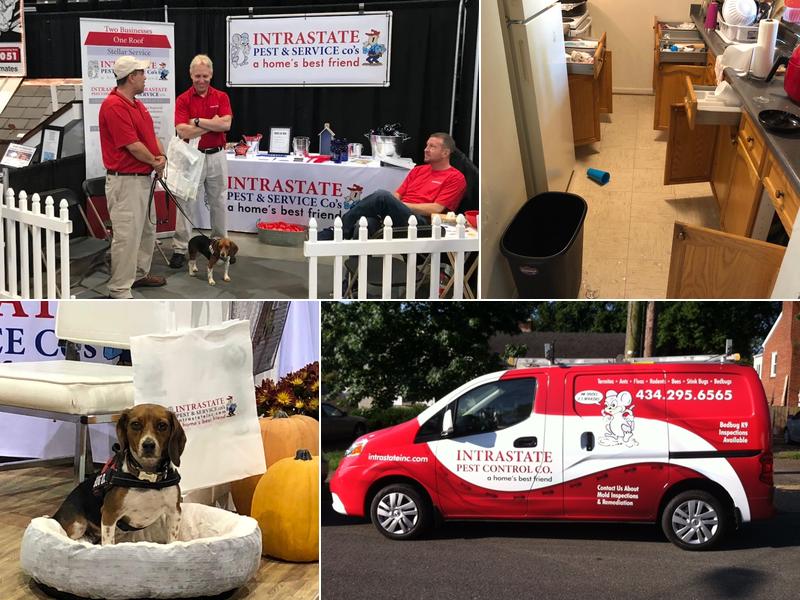 Intrastate Pest Control & American Pest