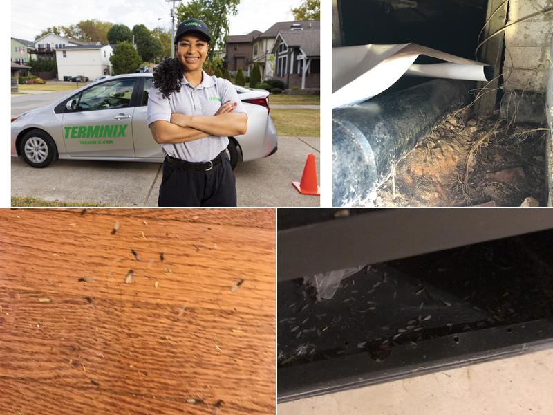 Terminix