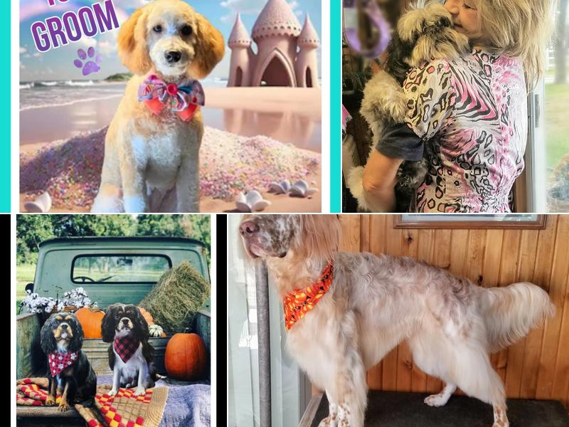 Diamonds in the RUFF