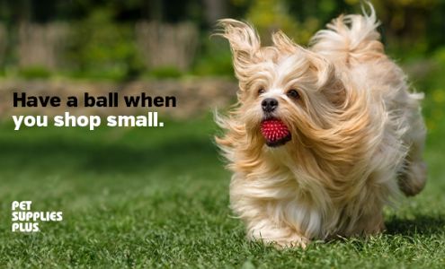 Pet Supplies Plus Jackson