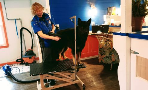 Dutch Dog Groomer