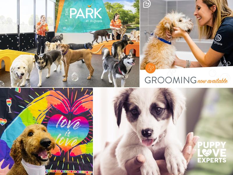 Dogtopia of Bethpage