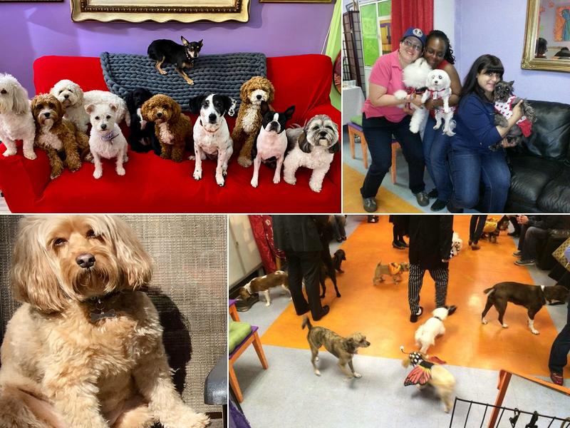 MaxTamara 75th & Paws and Itty Bitty Paws