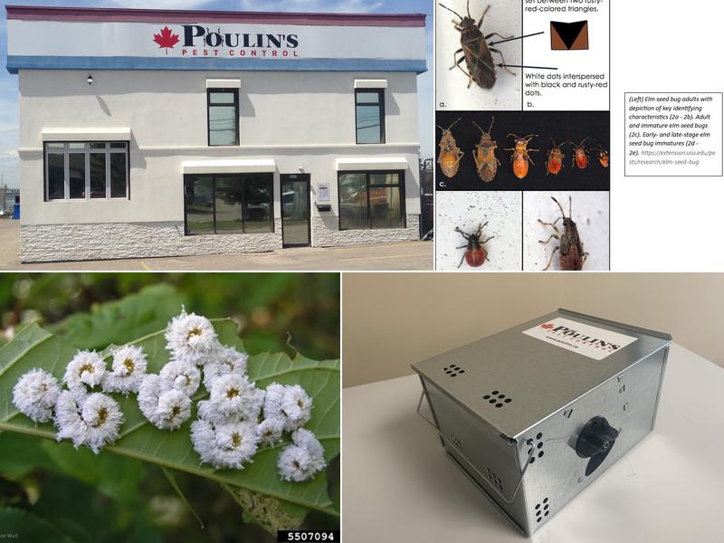 Poulin's Pest Control