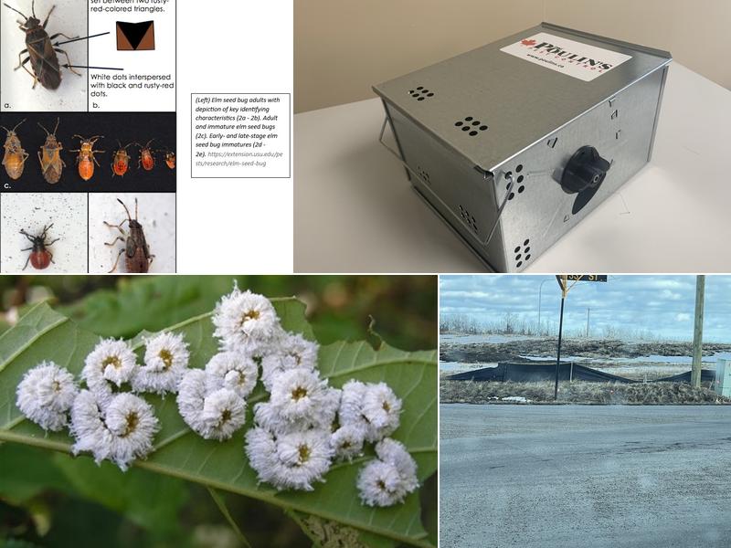 Poulin's Pest Control