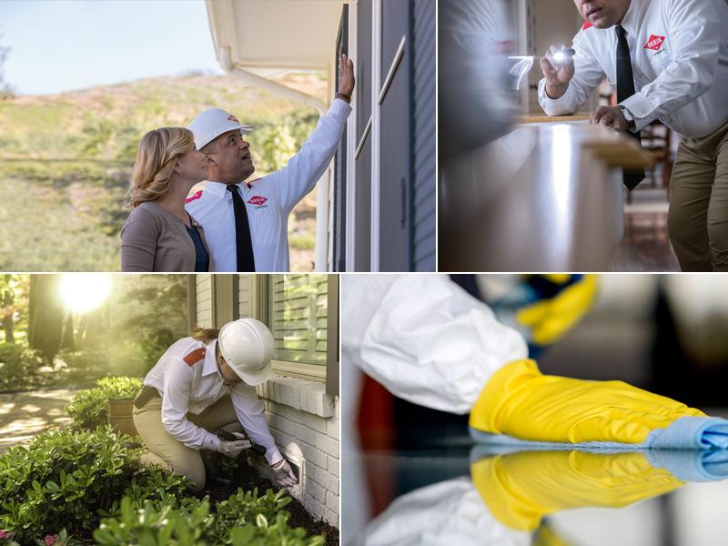 Orkin Canada Pest Control