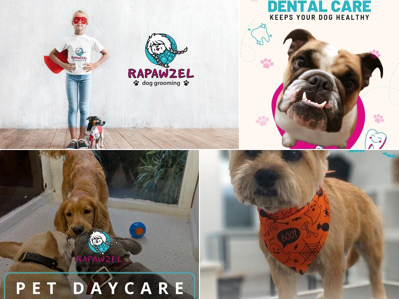 Rapawzel Dog Grooming & Day Care