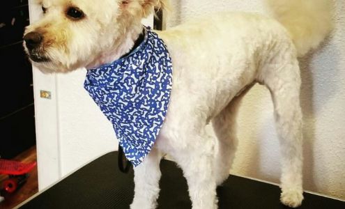 Carmona's Dog Grooming