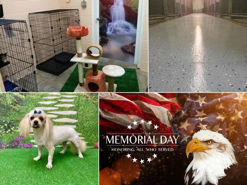 Silver Paw Pet Resort