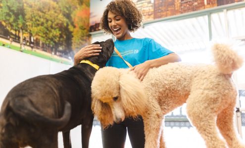 Dogtopia of Town Center - Virginia Beach