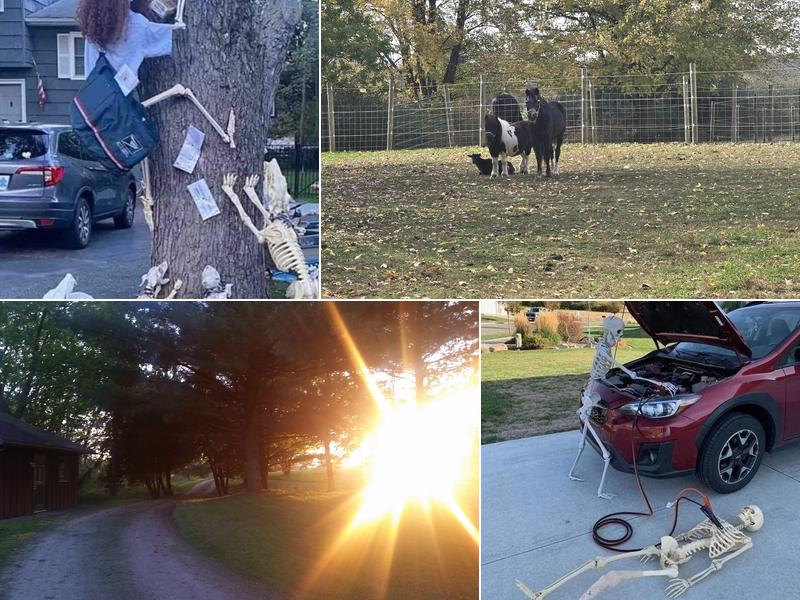 Boondock Boarding and Rescue, LLC