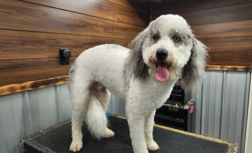 Hair of the Dog Pet Grooming 28 Rear Main St Rear, Centerburg Ohio 43011